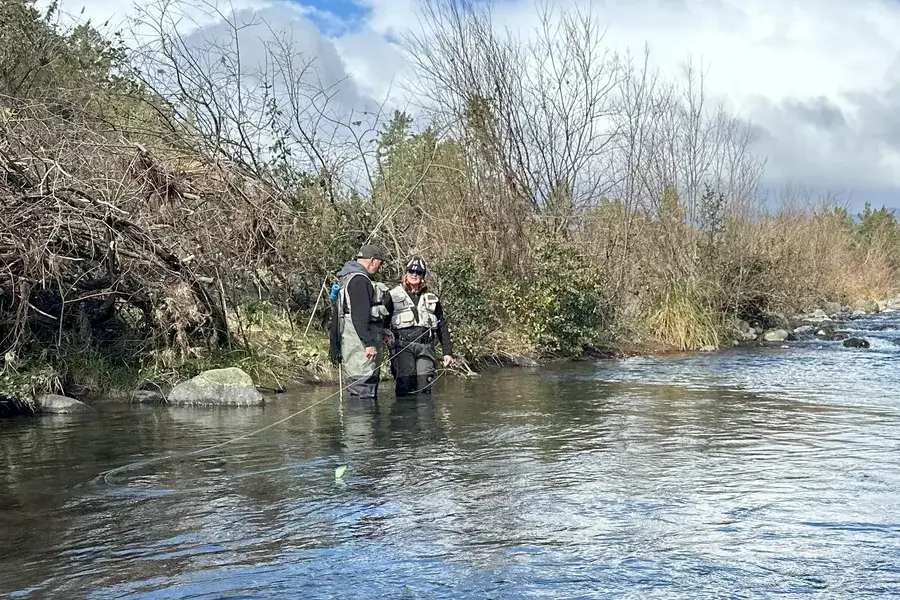 taupo-classic-day-wade-guided-fly-fishing